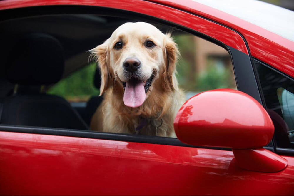 Ask Sonnet: What isn't covered by my auto policy?